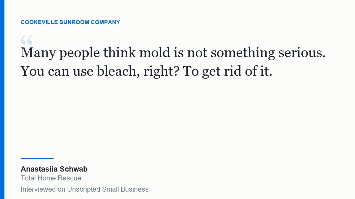 Quote card reading: Many people think mold is not something serious. You can use bleach, right? To get rid of it. Anastasiia Schwab, Total Home Rescue