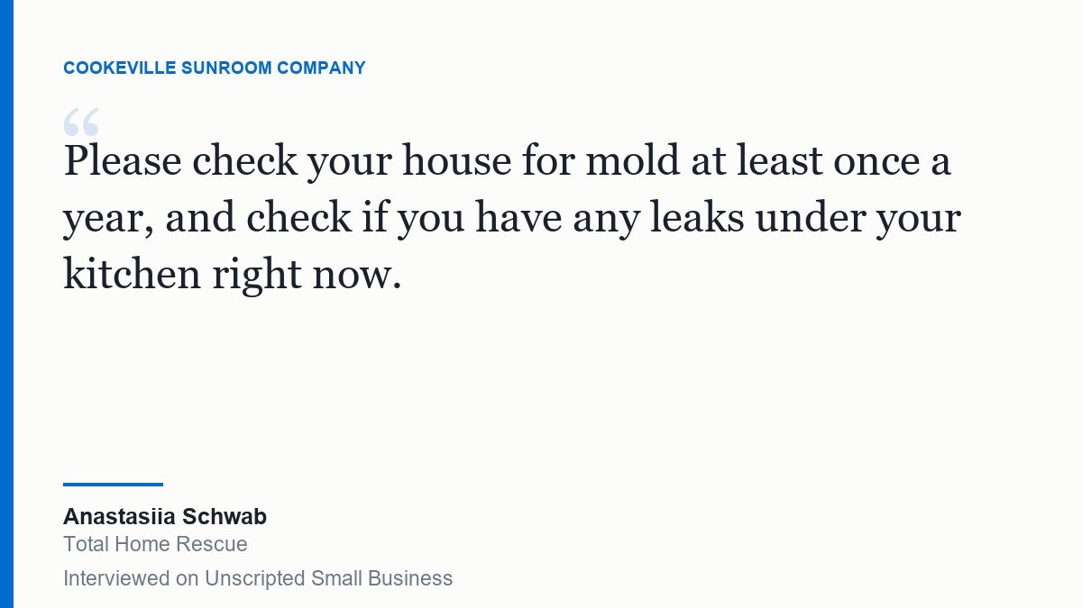 Quote card reading: Please check your house for mold at least once a year, and check if you have any leaks under your kitchen right now. Anastasiia Schwab, Total Home Rescue